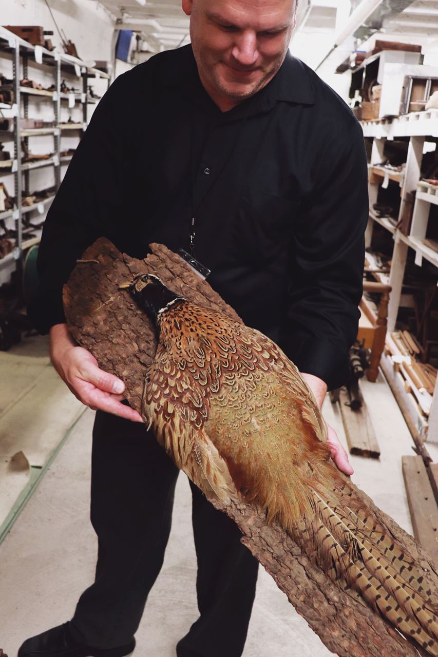 We stopped into the Rome Historical Society and took a peak at just a few of the over 40,000 collection items including this taxidermy falcon held by Rome Historical Society Executive Director Arthur Simmons, a wicker coffin, and a look into their newspaper archives.